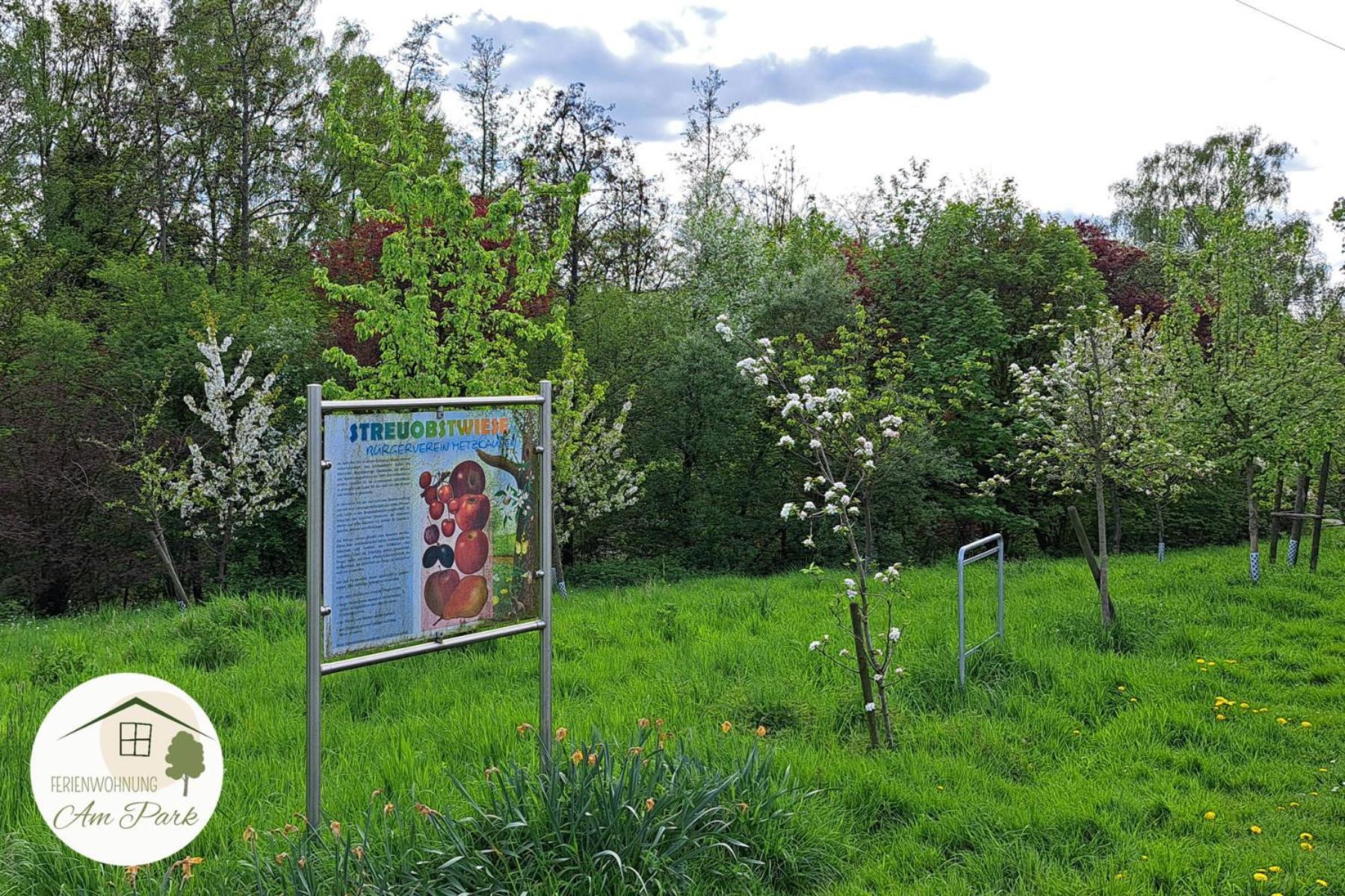 Grosszuegige Wohnung Am Comberg-Park 梅特曼 外观 照片